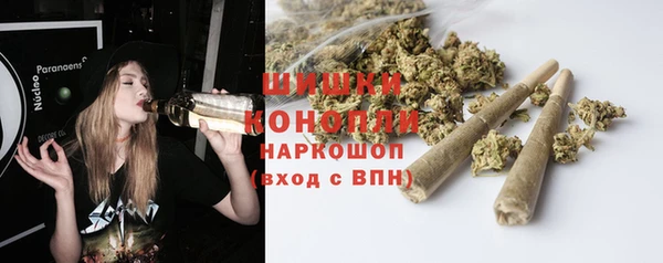 стаф Арсеньев