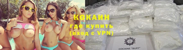 стаф Арсеньев