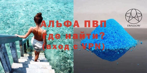 стаф Арсеньев