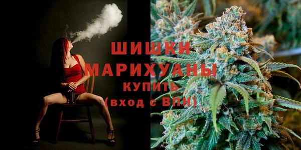 стаф Арсеньев