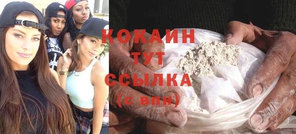 стаф Арсеньев
