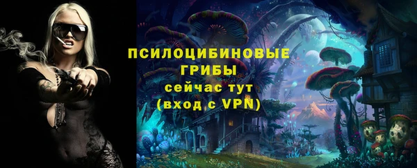 стаф Арсеньев