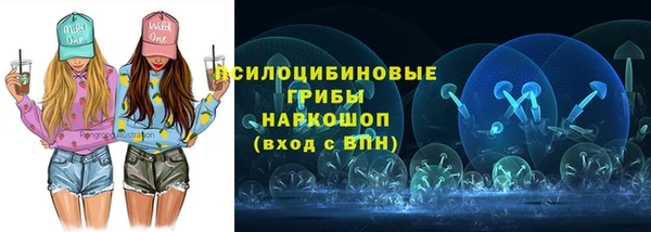 дмт Аркадак