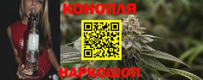прущие крисы Малгобек