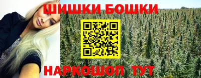 прущие крисы Малгобек