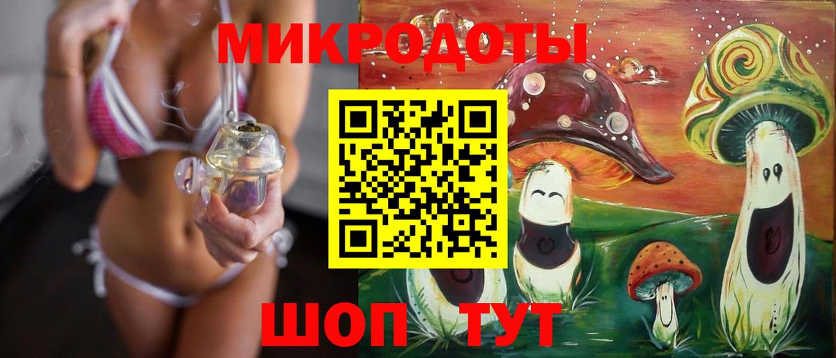Брянск  Псилоцибиновые грибы прущие грибы  купить наркоту  Вход с VPN  Псилоцибиновые грибы Psilocybine cubensis 