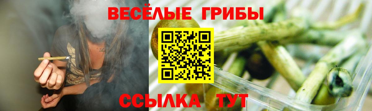 Псилоцибиновые грибы MAGIC MUSHROOMS Брянск